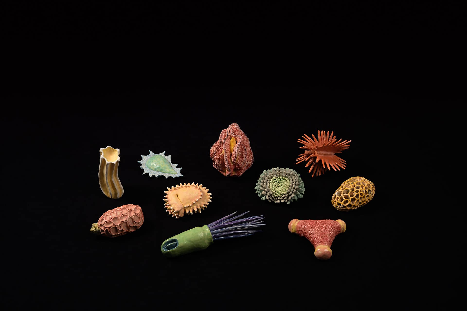 Seeds