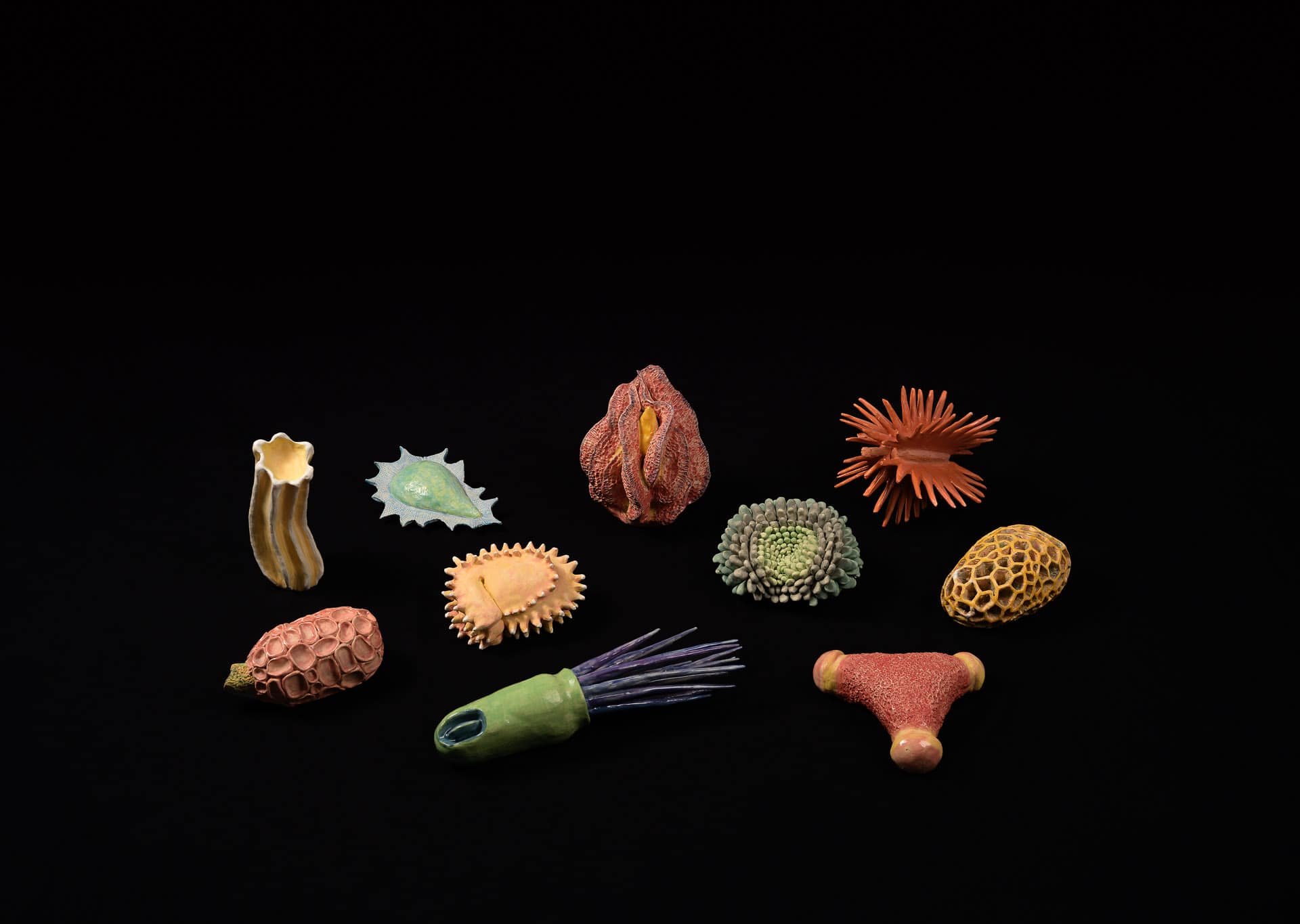 Seeds